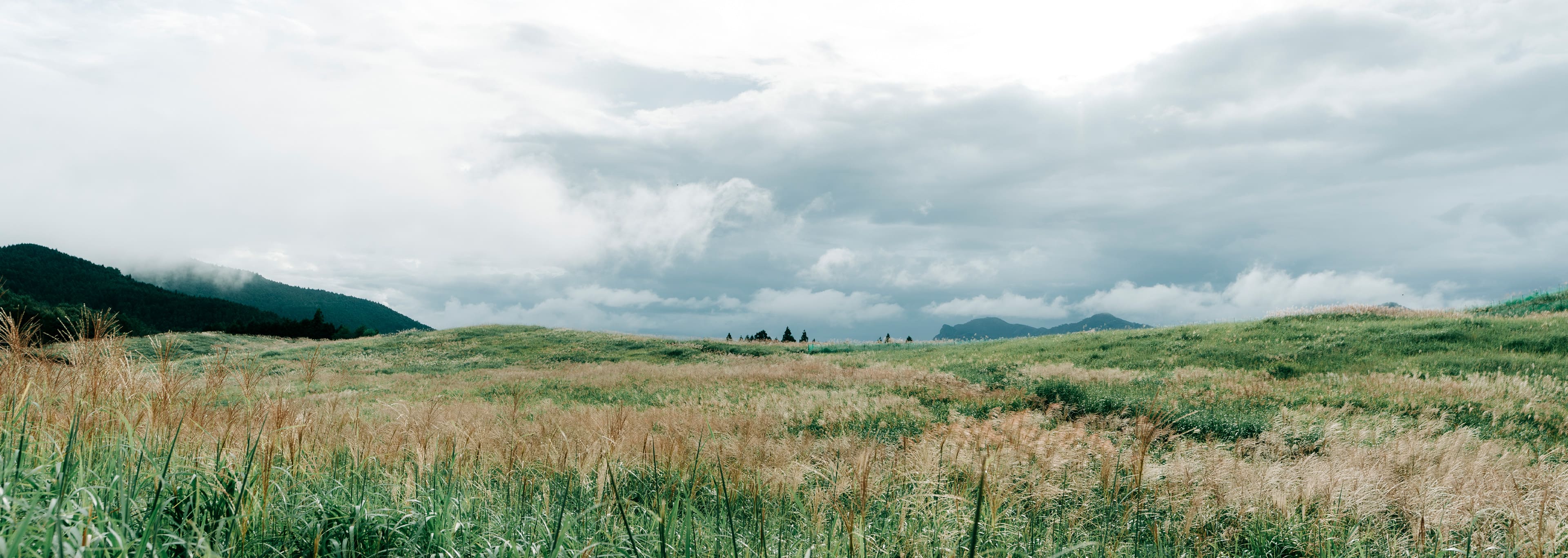 スーベニア 奈良ウェディング前撮り ギャラリーイメージ